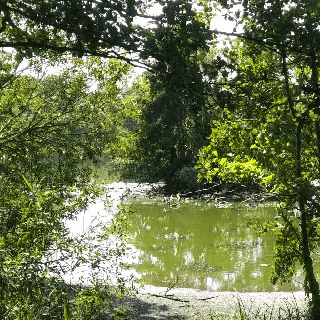 29.07.2018 – 29 Grad – Tag 19