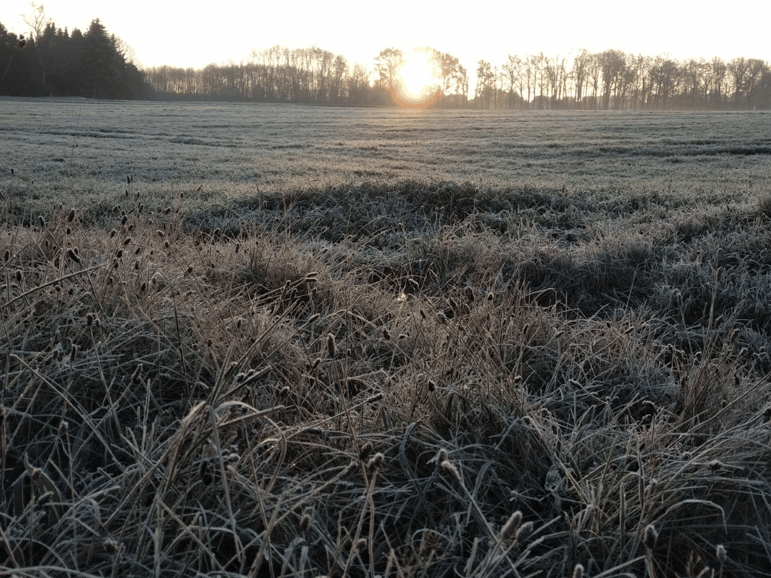 17.11.2018 – 5 Grad – Tag 130