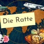 Eine tote Ratte im Motorraum und wie man die da wieder herausbekommt