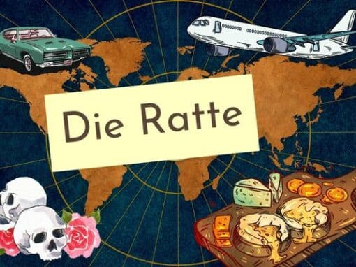 Erinnerungen – die Ratte Erinnerungen – die Ratte
