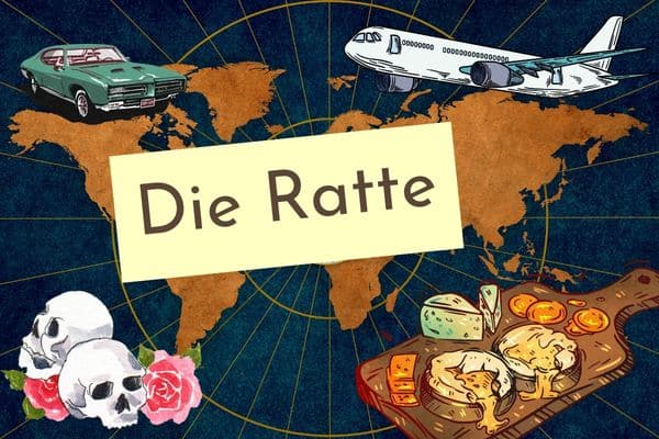 Erinnerungen – die Ratte