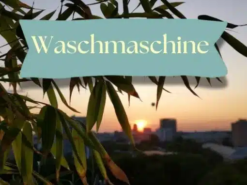 Die Waschmaschine Die Waschmaschine
