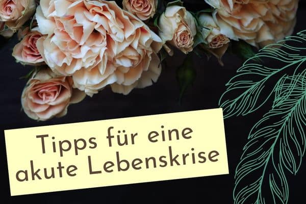 Tipps Lebenskrise Tipps für eine akute Lebenskrise. Ich komme in dieser Welt nicht mehr klar