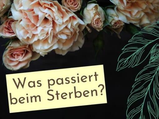 Was passiert beim Sterben? Was passiert beim Sterben?