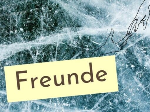 Freunde Freunde