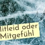 Verdienen Trauernde Mitleid oder Mitgefühl und wo liegt der Unterschied? Wie kann ich Trauernde wirklich unterstützen?