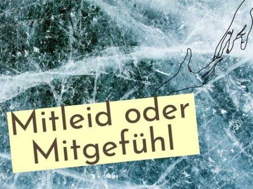 Mitleid oder Mitgefühl Mitleid oder Mitgefühl