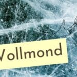 Wie ich jeden Vollmond Steffen gedenke. Es hilft, mit dem Verlust umzugehen und eine Verbindung zu meinem verstorbenen Partner zu haben.