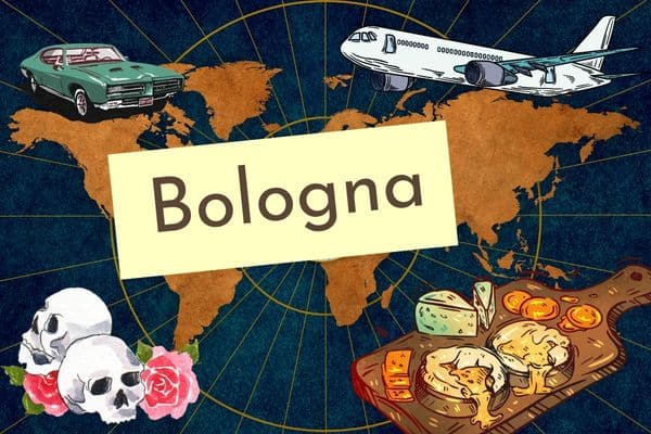 Ein Tag in Bologna - Die Witwe geht ins anatomische Museum