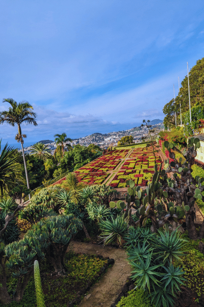 jardim Botanico in Madeira