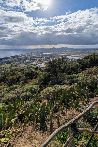 Meine Witwenreise nach Porto Santo