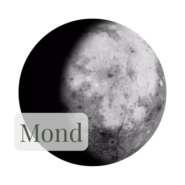 Mond
